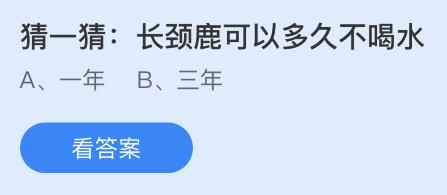 支付寶螞蟻莊園12月19日答案最新