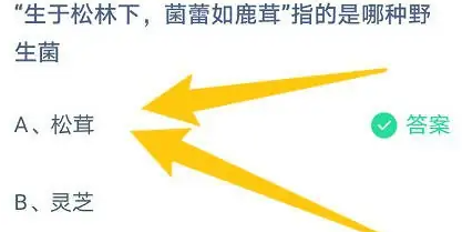 《支付寶》螞蟻莊園2023年5月18日每日一題答案