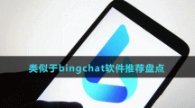 類似于bingchat軟件推薦盤點(diǎn)