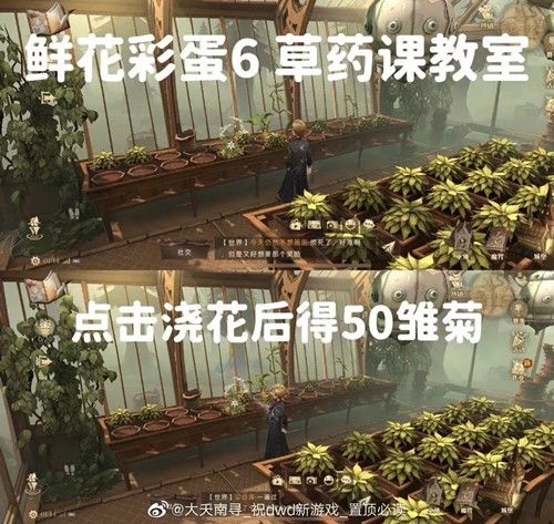 《哈利波特魔法覺(jué)醒》6個(gè)鮮花彩蛋位置觸發(fā)方法